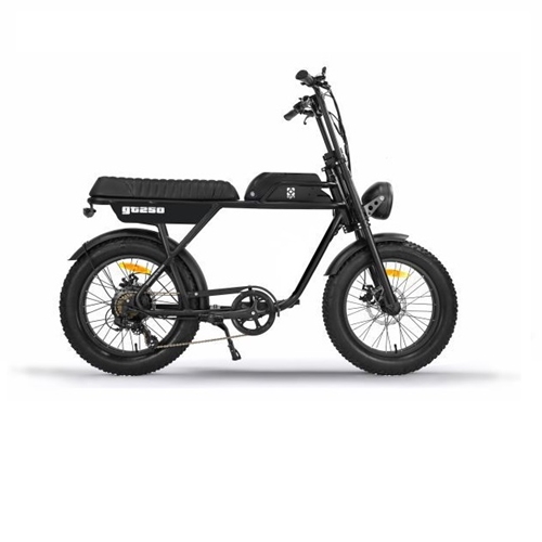 Elektrische fat-bike met dikke wielen