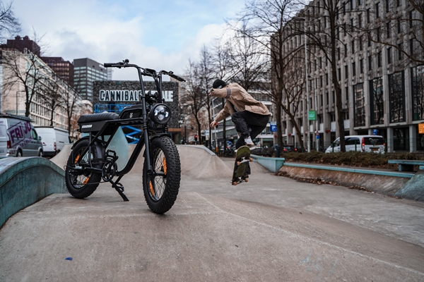 Elektrische Fat-Bike kopen