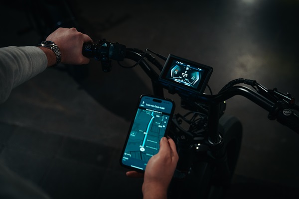 Display Pulse Fat-Bike