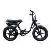 Pulse Fatbike S6 Go