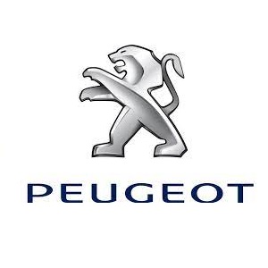 Peugeot scooter onderdelen
